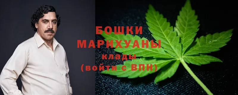 Бошки Шишки SATIVA & INDICA  Донской 